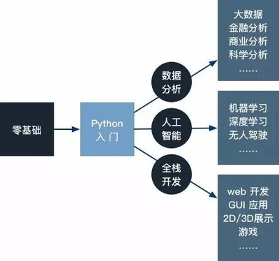 Python火熱背后的人工智能崛起與基礎(chǔ)軟件開發(fā)